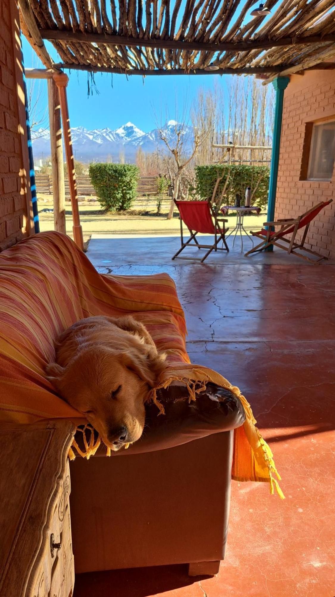 Aire De Barreal Hostel Andino المظهر الخارجي الصورة